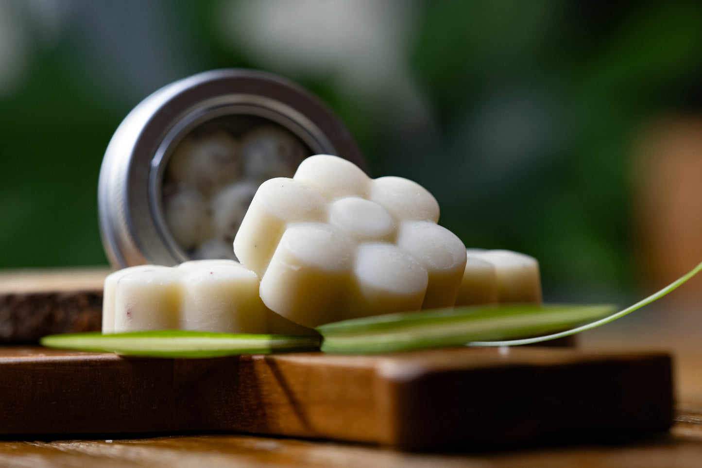 Tallow Lotion Bars - Mini