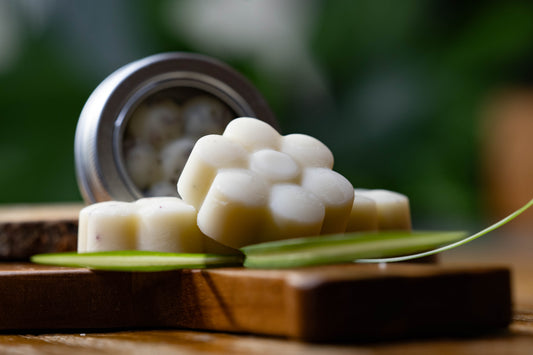 Tallow Lotion Bars - Mini