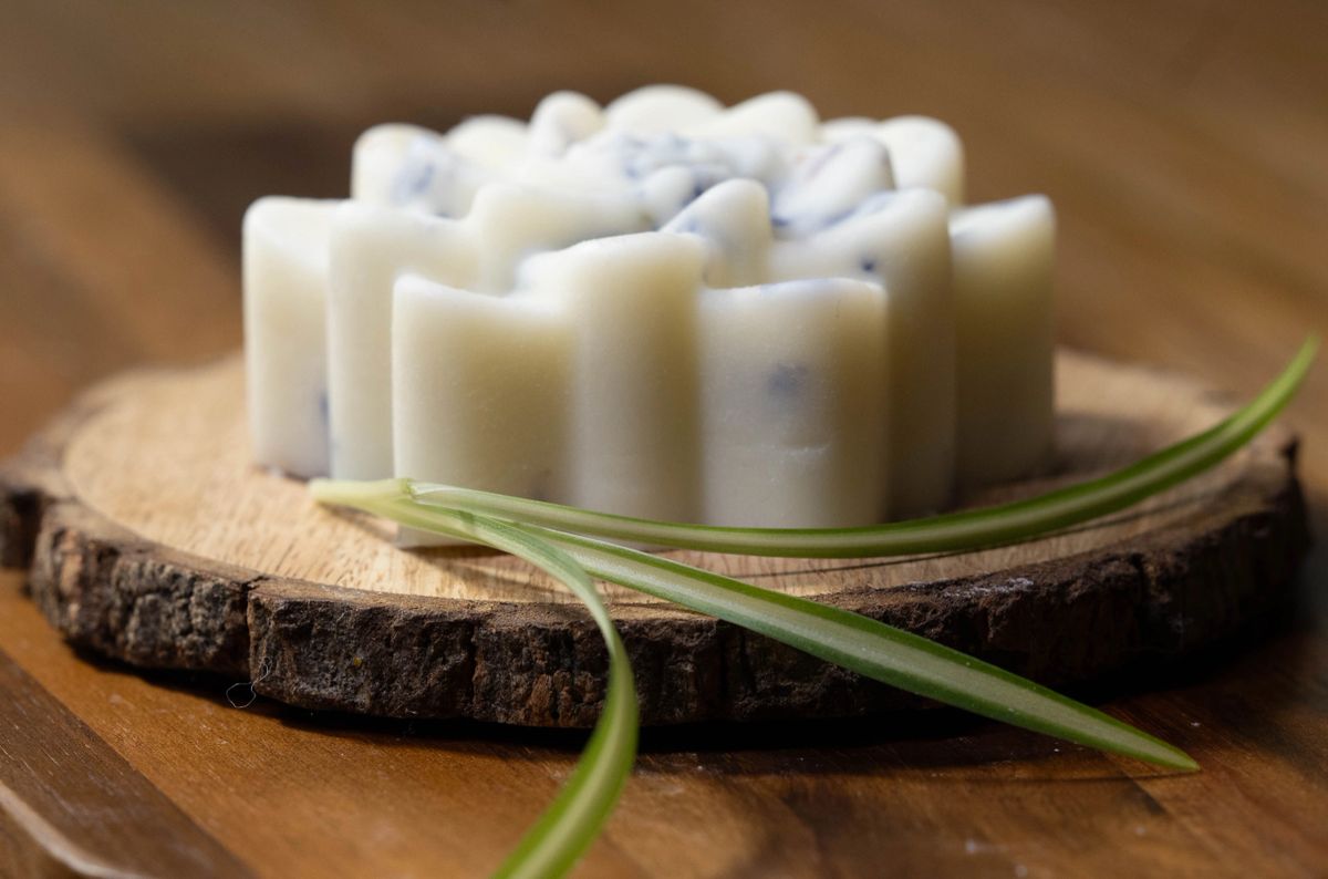 Bori Bliss Tallow Lotion Bar, a water-free concentrated moisturizer with beeswax and shea butter.